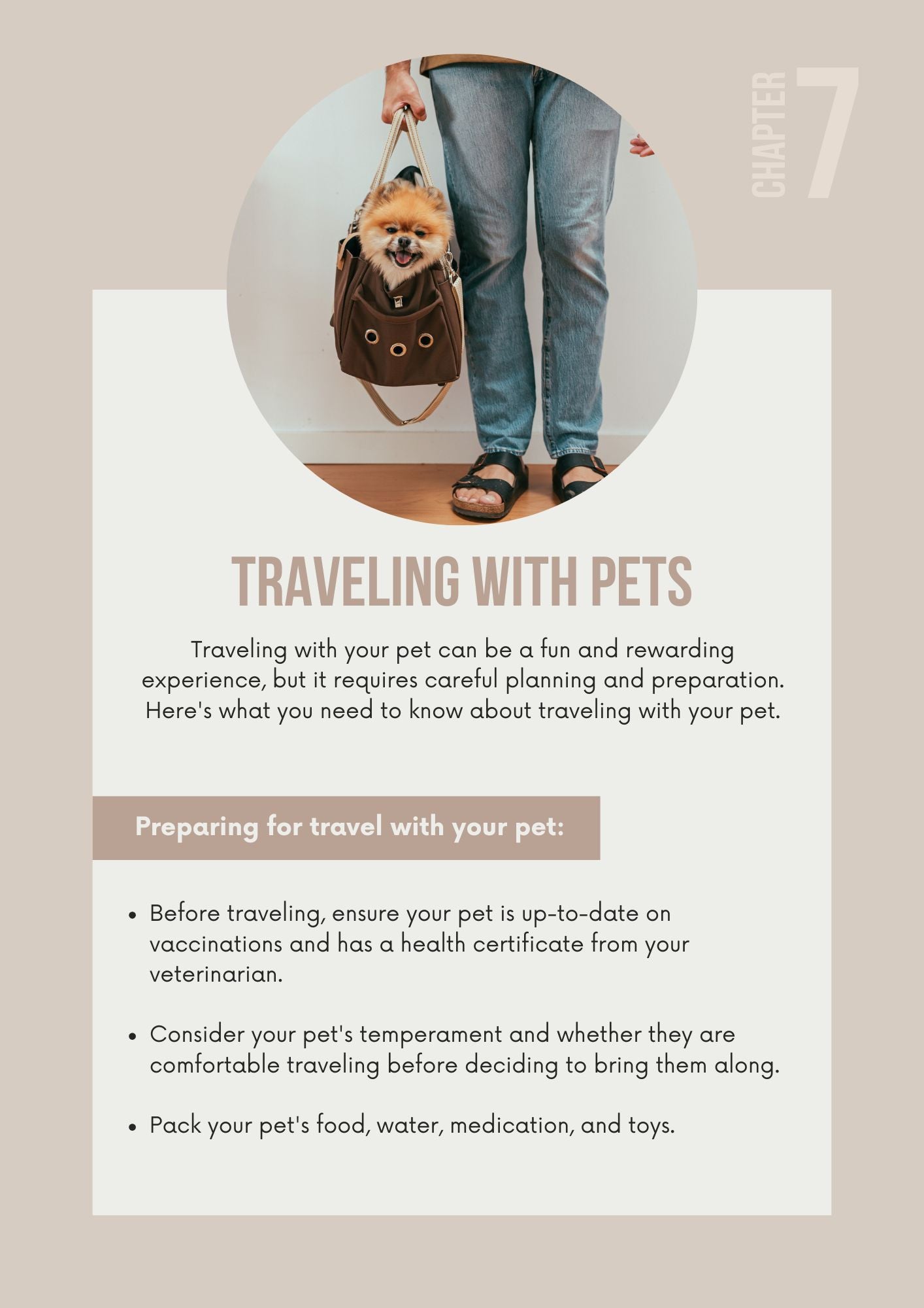 THE ULTIMATE GUIDE TO PET CARE