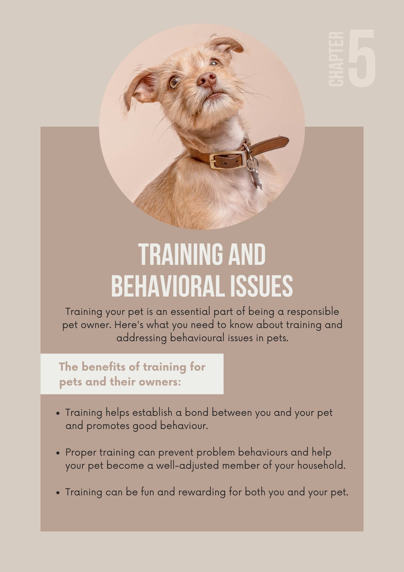 THE ULTIMATE GUIDE TO PET CARE